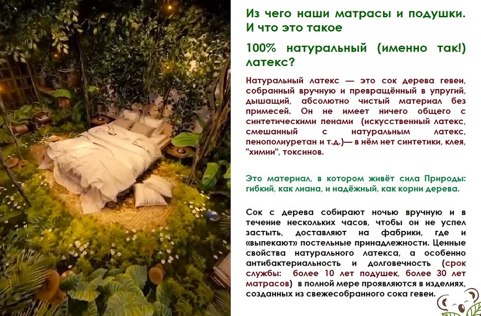 chto_takoe_100_nl_na_10_menshe.jpg